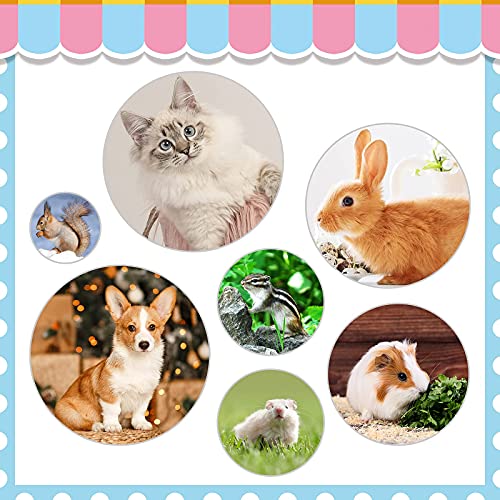 Rabbit Grooming Kit, Rabbit Brush for Shedding with Bunny Nail Clipper, Rabbit Nail Trimmers with Pet Combs for Hamster Guinea Pig Ferret by KALAMANDA - color: Blue