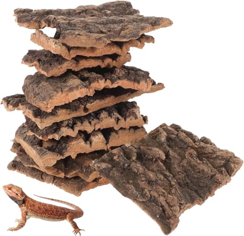 Beavorty 10Pcs Reptile Tree Bark Decor Natural Cork Bark Platform for Lizards Spiders Hamsters Reptile Habitat Climbing and Resting Basking Terrace 3.93X3.54X0.19In