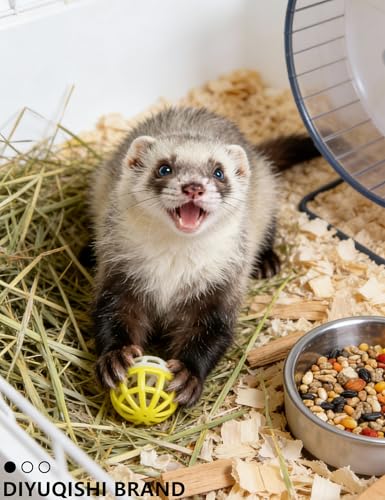 5 Pack Ferret Bell Ball Toys, Play Balls for Small Medium Large Ferrets | Bright Smooth Surface, Tough Wear-Resistant Construction for Daily Ferret Cage Play - size: 1.5''