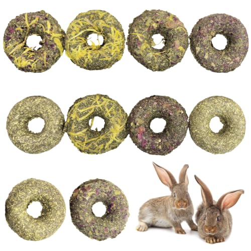 Fhiny 10 PCS Rabbit Chew Toys, Rabbit Treats with Natural Grass and Flowers, Pet Molar Grass Cakes for Guinea Pigs, Chinchillas, Hamsters and Other Small Rodents - size: 10 PCS