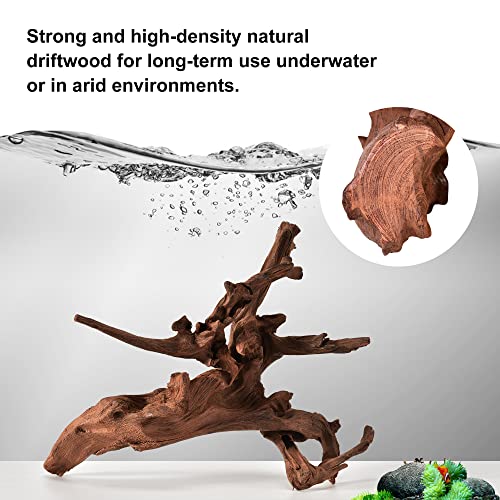 Natural Large Driftwood for Aquarium Decor Fish Tank Decor Reptile Decor | Assorted Driftwood Branch, Natural Driftwood for Aquascaping and Reptile Decor - size: Mopani Driftwood 13 to 17 Inch (Pack of 1)
