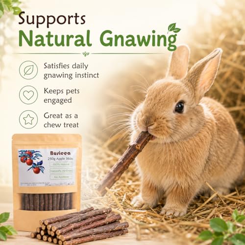 Premium Natural Apple Sticks - 100g/3.52 OZ MINI Trial Pack - Perfect for 1 Pet, Molar Chew Treats for Rabbits Chinchillas Guinea Pigs Hamsters Small Animals - size: 3.6 Ounce (Pack of 1)