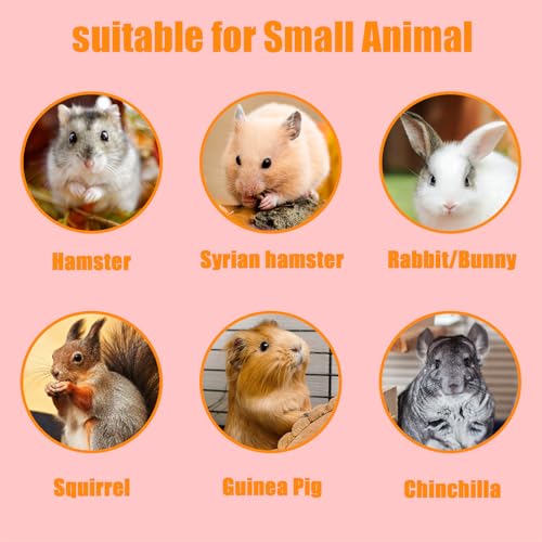 DEAYOU 30 Pack Small Animal Lava Bites, Hamster Teeth Grinding Block, Bunny Chew Toys, Natural Mineral Calcium Square Stone for Chinchilla, Squirrel, Rat, Parrot, Rabbit, Guinea Pig, 1.57"×1.57"×1.57"