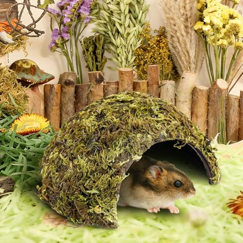 BNOSDM 2 Pcs Hamster Hideout Natural Mossy Cave Hamster Houses and Hideouts Moss Covered Coconut Enclosed Hiding Hut for Mice Habitat Hamster Cage Accessories for Dwarf Gerbil Syrian Fancy Mouse - size: Small-2Pcs