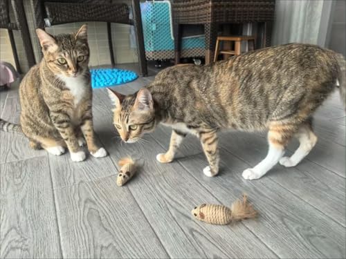 3 Pack Cat Mice Toys with Feather Tail Rattling Noise Sound Natural Sisal Cat Balls Toys Teeth Cleaning Dental Chew Toys Interactive Cat Mice Toy Mice Cat Toys for Indoor Cats