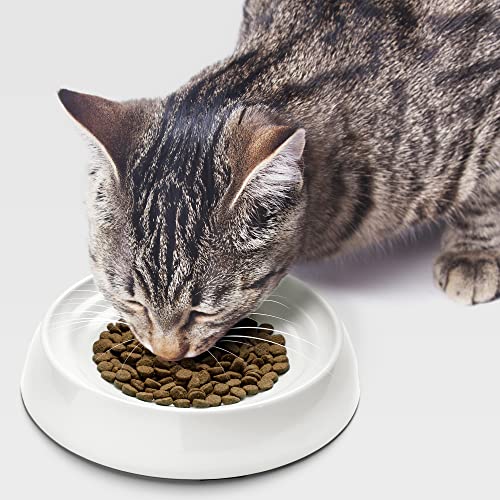 CatGuru Cat Bowls, Whisker Friendly Food Bowl for Indoor Cats, Reliefs Whisker Fatigue, Wide Kitten Dish, Non Slip Pet Dishes, Shallow Pet Plates (Marshmallow) | Wide, shallow food dish lets cats reach every bite comfortably reducing food waste. Nonslip.