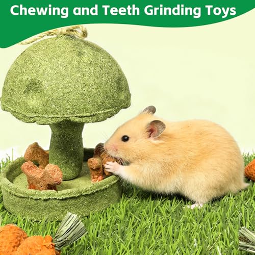 Hamiledyi Guinea Pig Chew Toys Rabbit Chew Toys for Teeth Natural Hamster Treats Prevent Teeth Overgrowth for Syrian Hamsters Gerbils Rat Bunny Chinchilla Small Animals - style: Style B