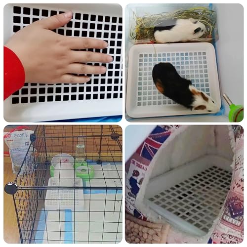 Generic Guinea Pig Toilet, Small Animal Potty Trainer Corner, Square Rat Litter Bedding Box with Small Broom, Dustpan, Small Pet Litter Toilet for Guinea Pigs, Chinchilla, Ferret,Galesaur…