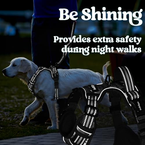 rabbitgoo Dog Harness Small Sized, Updated Easy On & Off with 3 Buckles | No Pull No Choke, Walking with 2 Clips and Handle, Adjustable Soft Reflective, Mountain Black, Small - color: Mountain Black, size: Small