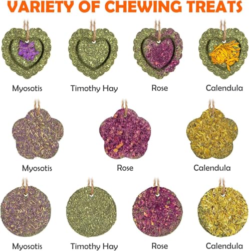 Sofier 32Pcs Timothy Hay Treats - Natural Chews for Teeth - Handmade Rabbit, Chinchilla, Gerbil, Rat, Hamster Toys - Bunny & Guinea Pig - style: 32pcs Treats