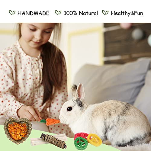 Bunny Toys, 21PCS Rabbit Chew Toys for Teeth, Guinea Pig Natural Treats | Timothy Hay Sticks chew Treats for ChinchillasRabbit, Bunny, Hamsters, Rats, chinehila, Small Animals Teeth Grinding Care - size: 21Pack-small Set