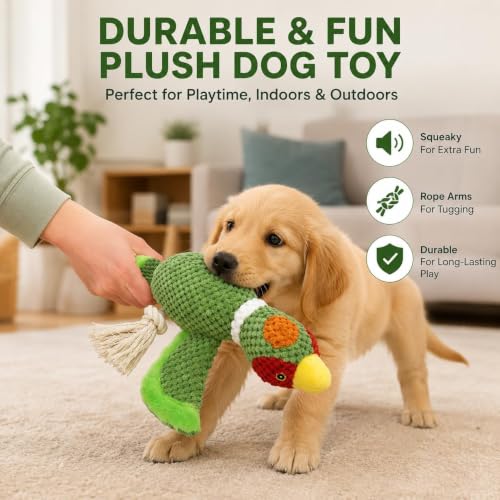 Dog Squeaky Toys Plush Mallard Duck Dog Chew Toy with Knotted Rope Tassels, Teething Interactive Tug Toy for Small, Medium and Large Dogs - color: Green Bird