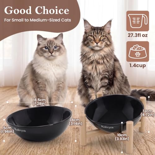 15° Slanted Rim Ceramic Cat Bowl, Anti-Spill for Small Cats,Black | ood-safe Ceramic with Wooden Stand,Ergonomic Tilt Relieves Neck Strain,Anti-Vomiting,Prevents Whisker Fatigue - color: Black