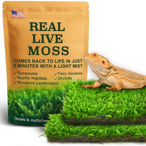 Live Moss for Terrarium Bedding & Reptile Enclosures | Moisture-Holding Layer, Humid Hide Accent, Forest-Floor Look, Easy to Trim, For Frogs, Geckos, Turtles, Snakes