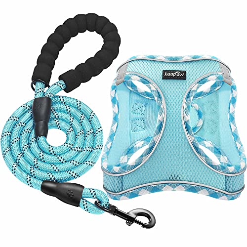 haapaw Dog Harness with Leash Set, No Pull Adjustable Reflective Step-in Puppy Harness with Thickened Padded Vest for Extra-Small/Small Medium Dogs - color: Turquoise, size: S