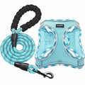 haapaw Dog Harness with Leash Set, No Pull Adjustable Reflective Step-in Puppy Harness with Thickened Padded Vest for Extra-Small/Small Medium Dogs - color: Turquoise, size: S