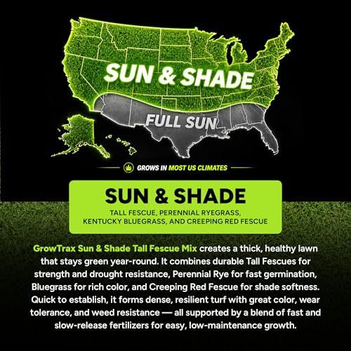Growtrax Biodegradable Grass Seed Mat - 100 Sq Ft Year Round Green | Grass Seed Mat for Lawns, Dog Patches & Shade, Just Roll, Water & Grow, No Fake or Artificial Grass - size: 803+