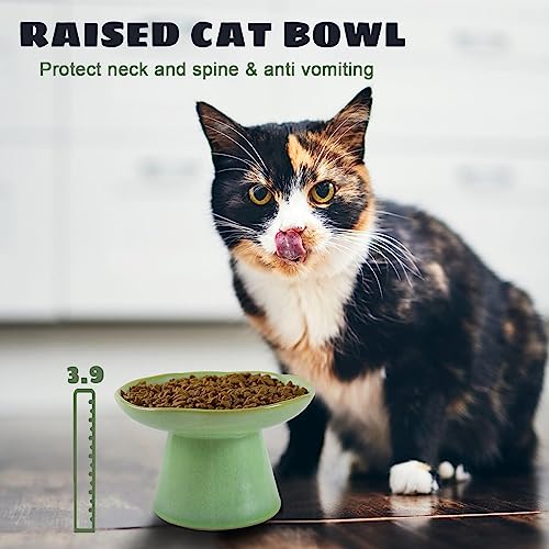 Wide Shallow 6.1" Raised Cat Bowls, Ceramic Elevated Food Bowl for Flat Faced Cats and Small Dogs, Porcelain Feeder Bowl, Stress Free, Protect Cat’s Spine, Green - color: Green-Shallow