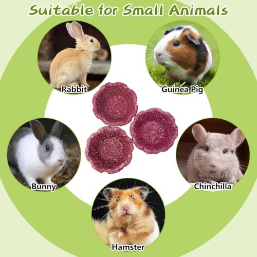 12 Pack Rabbit Chew Toys for Teeth Edible Timothy Hay Chewing Bowl Natural Guinea Pig Toys Small Animal Molar Treats for Bunny Chinchilla Mice Hamster (Purple) - color: Purple