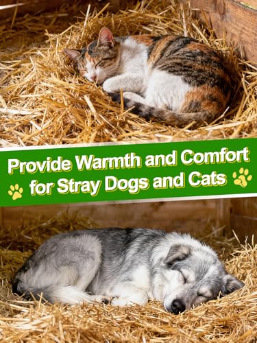 Acostop Natural Dry Wheat Straw for Garden Mulch Stray Cats Dogs Shelter | 1 LB Clean Soft Warm Chicken Coop Yard Farm Pets Bedding, Decorative Straw Bale, Landscaping Weed Cover - size: 1 LB