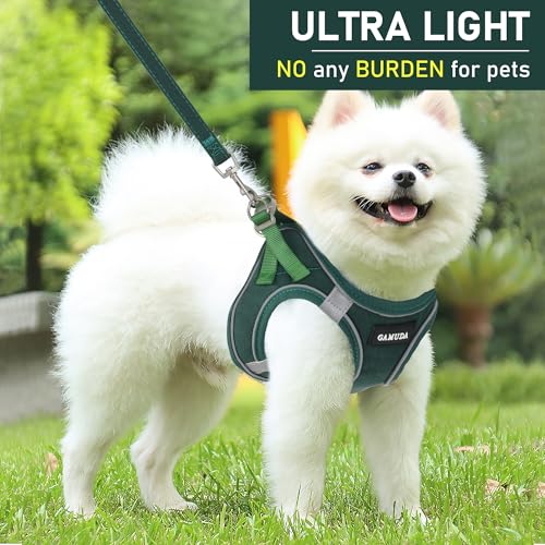 GAMUDA Small Pet Harness Collar and Leash Set, Step in No Chock No Pull Linen Fabric Soft Mesh Dog Vest Harnesses Reflective for Dogs Puppy Cats Kitten Rabbit (Green, XXS) - color: Green, size: XXS