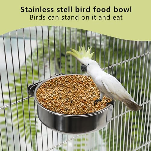 Stainless Steel Bird Feeding Dish Cups, 4 Pack, Medium | Clamp Holder, For Parrot Cockatiel Parakeet Macaw Finches Lovebirds, Cage Water Feeder - color: 4 Pack, size: Medium