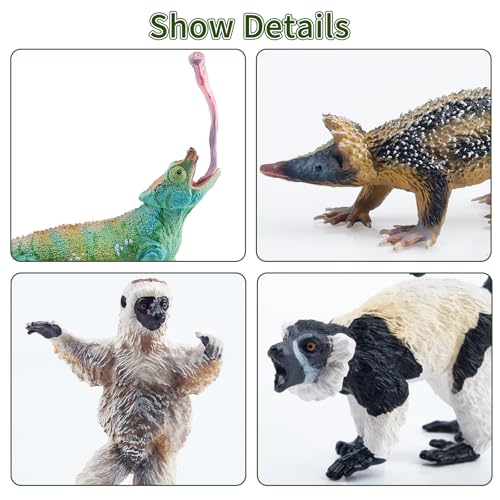 Toymany 12PCS Madagascar Animal Figurines Set, Realistic Lemur Jungle Animal Toys Set Includes Chameleon, Tortoise,Gecko,Fossa,Sifaka -Educational Forest Animals Figure Toy Collection for Kids Adults - style: Jungle Animal-1