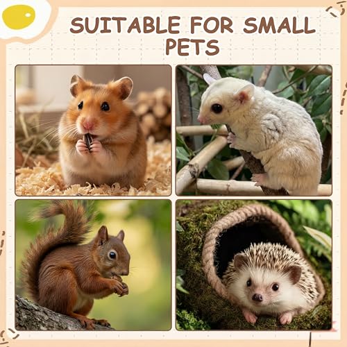 5 Pcs Hamster Platform Wooden Fence Bridge Ladder Climbing Toy Hidden House Exploring Toy with Hamster Bath Container Decor Cage Accessories for Small Animals Dwarf Syrian Gerbils Squirrel(Classic) - style: Classic
