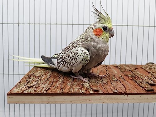 13.6 × 7.9 inch Large Bird Perch Stand Platform, Natural Wooden Small Animals Cage Accessories, Rectangle Stand Perch Shelf for Parrot Parakeet Cockatiel Rat Hamster Guinea Pig Conures Chinchillas - size: 13.6 × 7.9 inch