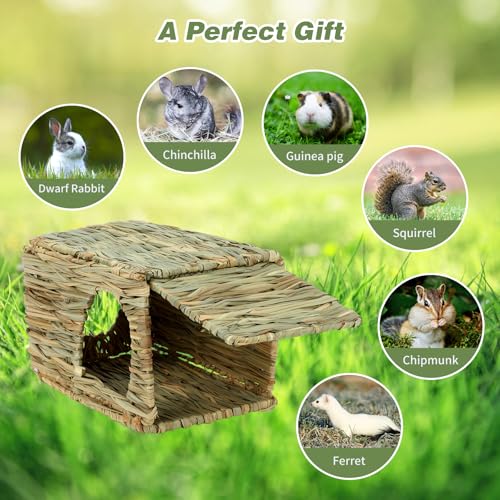 BWOGUE Large Bunny Grass House, Natural Seagrass Bed Hideaway Toy, Hay Mat | Rabbit Grass House, Rabbit Hideout, Rabbit Hut, Chew Toys, 11.81x7.87x9.06 in, Guinea Pig, Hamster, Chinchilla - size: Medium