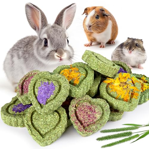 Sofier 16Pcs Timothy Hay Treats - Natural Chews for Teeth - Handmade Rabbit, Chinchilla, Gerbil, Rat, Hamster Toys - Bunny & Guinea Pig - style: 16pcs Treats