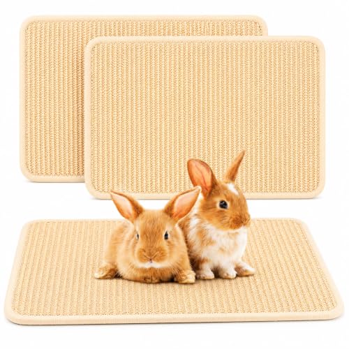 FHTONGE 2 Pcs Large Sisal Rabbit Scratching Mats for Cage Bedding | Non-Slip Base Scratcher, for Claws Sharpening Teeth Grinding Sleeping Cooling Chewing Biting, Bunny Scratch Pads Grass Mats - size: 23.6 x 15.8 in (Pack of 2)