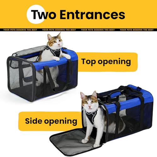 Conlun Cat Carrier Bag,Soft-Sided Pet Carriers for Dogs with 4-Sided Mesh,Airline Approved Cat Transport Carrier for Small&Medium Cats Kitten Puppy Up to 15LB,Collapsible Cat Travel Carrier-M,Blue - color: Blue, size: M