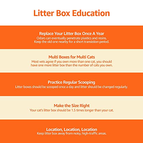 Amazon Basics Large Cat Litter Box with High Sides, Open Top for Easy Access, Includes Scoop with Storage, 19" x 15" x 11.75", Grey/Beige - color: Grey/Beige, style: Open Top