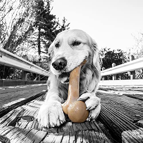 Pet Qwerks Dinosaur BarkBone - Nylon Dog Bone for Aggressive Chewers - Bacon Flavor - 8.5" - size: Small