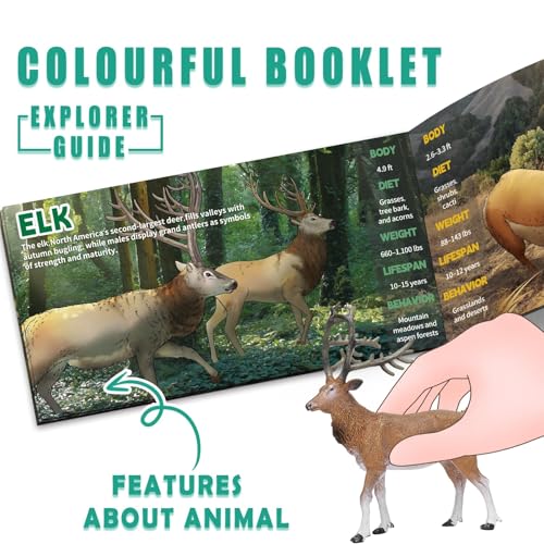 13 Pcs North American Forest Animal Figure Set with Educational Booklet | Realistic Plastic Animals Toy for Kids, Jungle Theme Party Favor, Cake Topper, Birthday Gift for Toddler Boy Girl
