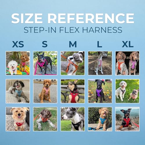 Voyager Step-in Flex Adjustable Dog Harness - Army, X-Small | 13 - 16" in Chest, Fully Adjustable, Reflective Bands, All Weather Breathable Air Mesh, Lightweight, Fast Drying - color: Harness (Army/Black Trim), size: XS