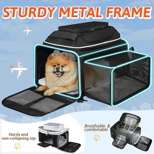 Top and Side Expandable Small Pet Carrier Airline Approved, Black | 18"Lx11"Wx11"H, for Delta/United/American Airlines, Pets Under 10 Lbs, Lockable Zippers,Soft-Sided, Anti-Scratch Mesh - color: Black, size: 18.0"L x 11.0"W x 11.0"H
