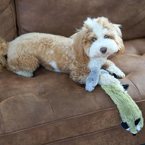 SPOT Skinneeez Raccoon 23 Inch Stuffing-Free Dog Toy – Soft Plush Tug Toy with Two Squeakers for Medium and Large Dogs – Mess-Free Interactive Chew Toy - style: Raccoon
