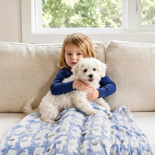 1 Pack 3 Blankets Super Soft Fluffy Premium Cute Elephant Pattern Pet Blanket Flannel Throw for Dog Puppy Cat Blue/Pink/Yellow Small(23x16 inch) - color: Blue/Pink/Yellow, size: 23x16 inch (Pack of 3)