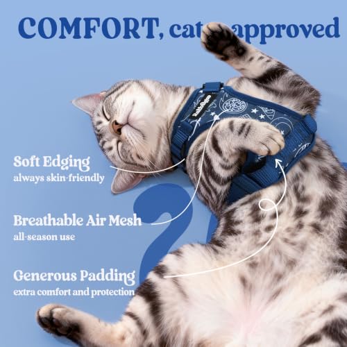 rabbitgoo Cat Harness and Leash Set, Escape Proof Vest, Cosmic Ace | Soft Breathable Mesh, Easy Adjustable Fit, Snap Buckles, Sturdy Clip, Reflective Strips, for Kittens & Small Cats Walks, Xxs - color: Cosmic Ace, size: Xxs