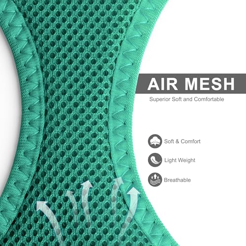 Fida Cat Harness and Leash Set for Walking Kitten and Puppy, Escape Proof Kitten Harness with Breathable Lightweight Soft Mesh, Adjustable Reflective Step-in Design. (XXS, Green) - color: Turquoise, size: XXS (Neck:11.4"-12.2"; Girth:12.6"-14.2")