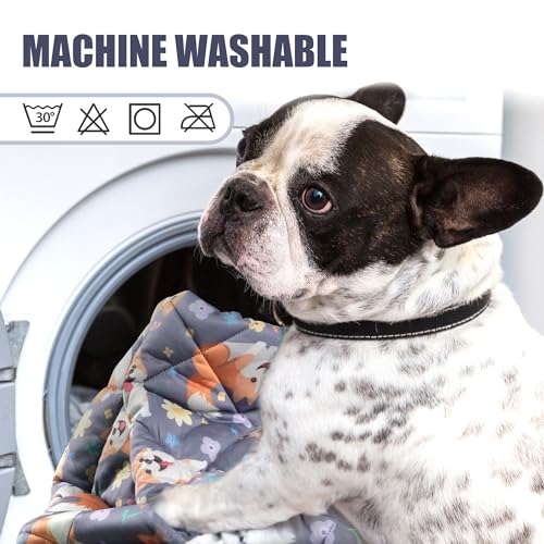 Leekalos Dog Cooling Mat - Summer Pet Cooling Pad for Cats & Dogs, Portable & Home Use - color: Puppy Corgi, size: Large(40"x55")