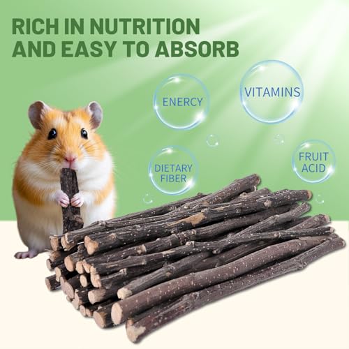Natural Apple Wood Chew Sticks, Untreated Small Pet Chew Toys for Boredom Relief & Teeth Grinding, Suitable for Rabbits, Hamsters, Guinea Pigs & Chinchillas (120g) - size: 4.23 Ounce (Pack of 1)