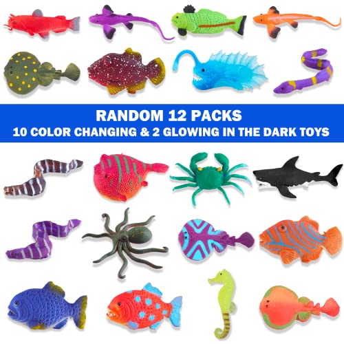 Color Changing No Hole Bath Toys with 2 Glow in The Dark Toys & Bath Book | Bath Toys for Kids Toddlers, Color Changing Squishy Sea Animal Bathtub Toys, Water Table Toys Sea Creatures Fish Toys
