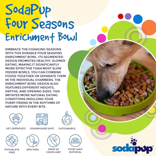 SodaPup Four Seasons Enrichment Bowl – Durable Slow Feeder Bowl Made in USA from Non-Toxic, Pet-Safe, Food Safe Material for Mental Stimulation, Slowing Down Eating, Healthy Digestion, & More - color: Four Seasons eBowl