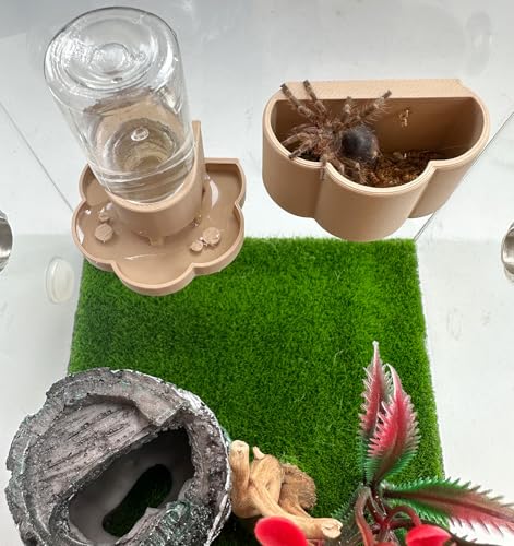 Jumping Spider Water Dispenser, Magnetic Hanging Feeder Dish with Cleaning Brush and Tweezers,Fits for Jumping Spiders,Arboreal Animals, and Other Small Animal Accessories (Green, 8ml) - color: Green