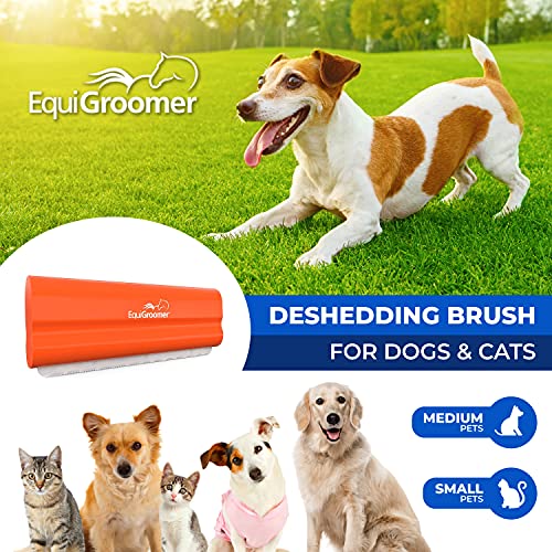 EquiGroomer 5-Inch Undercoat Deshedding Brush for Dogs & Cats, Orange | Best for dogs up to 100 lbs and cats of any size, short or long hair, stainless blade, no cutting or pulling - color: Orange, size: 5 Inch