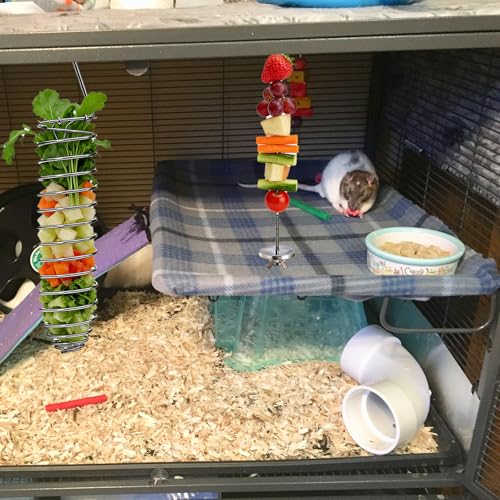 ATEN 2Pcs Rat Enrichment Foraging Toys for Fruit Vegetable Holder, Chew-Proof Small Animal Cage Accessories Puzzle Toy for Hamster Bird Parakeet