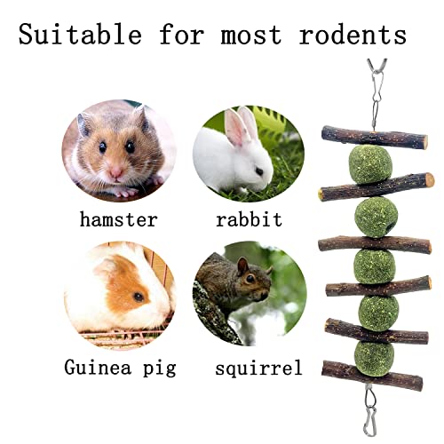 3 Pcs Bunny Chew Toys, Rabbit Chew Toys | for Teeth Grinding, Natural Organic Apple Wood Stick for Improve Rabbits Guinea Pigs Hamsters Dental Health